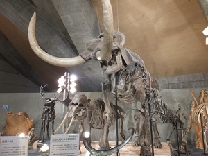 DSCF3274.JPG
