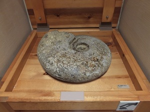 DSCF3281.JPG