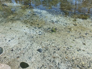 DSCF3654.JPG