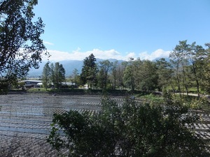 DSCF3656.JPG