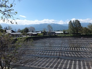 DSCF3657.JPG