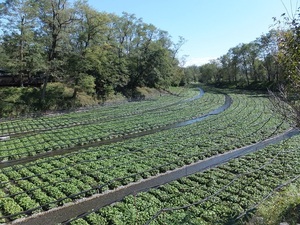 DSCF3658.JPG