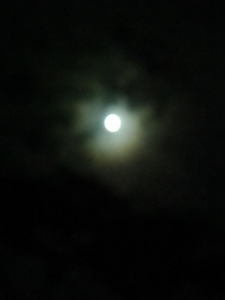 moon.jpg