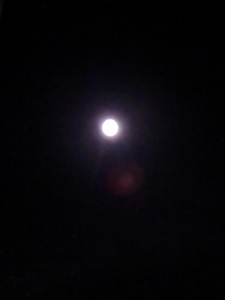 moon2.jpg