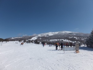 sugaDSCF3756.JPG
