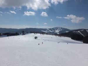 sugaDSCF3769.JPG