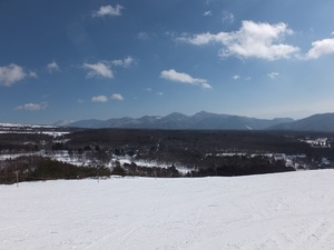 sugaDSCF3771.JPG