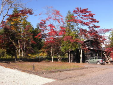 �H�̍g�t�̗l�q