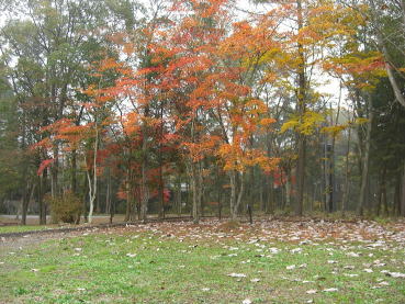 �H�̍g�t�̗l�q�B