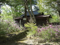 �V�΂̐�Ԑ_��