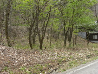 �Ǘ����ꂽ�ՐÂȗ��n�ő厩�R�𖞋i