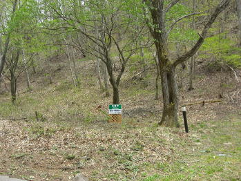 �ʔN�g���ڏZ����Z���\�ȕʑ��n