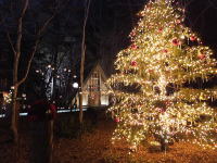 �~�̌y��򍂌�����