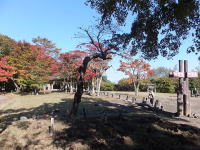 ������E����(���쌧�ƌQ�n��)�ƍg�t