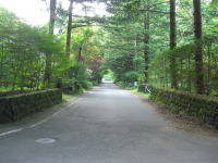 �~�n�ɐڂ��铹�H