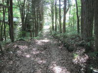 �����̗l�q