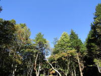 �~�n���̌i�F