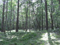 �y�n������������l�q