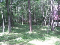 �y�n�������l�q