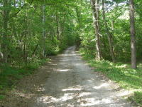 �y�n�ɐڂ��铹�H