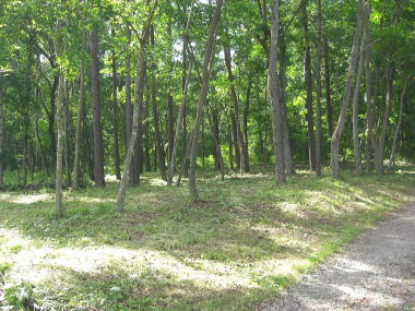 ���H����~�n�������l�q