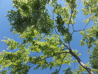 ���݂��̐V��