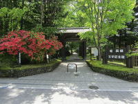 �x�C�Y���w�L�O��-�V�΁��c�c�W-