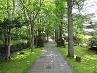 �V�΂̖x�C�Y���w�L�O��