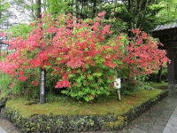 �x�C�Y���w�L�O�ق̃c�c�W