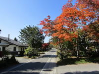 堀辰雄文学記念館駐車場より追分宿