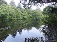 -�_��r�E�J�����j���ł��܂�-