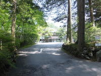 �߂��̌y���S���t��y��