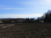 �~�n�߂�-���U���Ō��锪���x�X�|�b�g