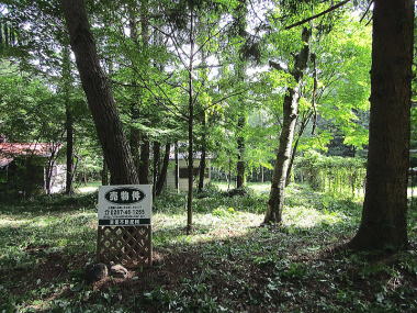 �y���̕s���Y-�y�n���� / ���y���G���A / ���ԃS���t��߂�-�W��1000m�̐�ԎR�[�̗΂Ɉ͂܂ꂽ�y�n