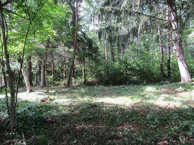 �y���̕s���Y-�y�n���� / ���y���G���A / ���ԃS���t��߂�-�W��1000m�̐�ԎR�[�̗΂Ɉ͂܂ꂽ�y�n