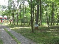 �y�n�������l�q