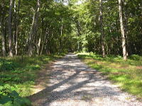 �~�n�ɐڂ��铹�H