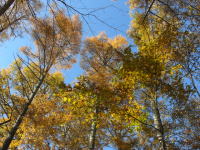 �~�n�E�����̍g�t