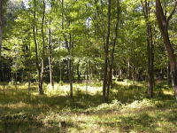 �~�n��萼���������l�q