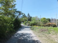 ���U���Ő�ԎR�������܂�