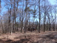 �ʑ����R���݂����n���܂��B