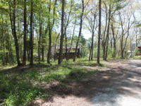 �ʑ����R���݂����n���܂�