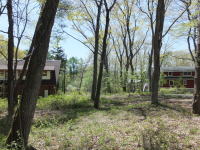 �~�n�̗l�q-�ʑ������n���܂�-