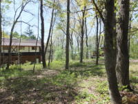 �~�n�̗l�q-���邢��-