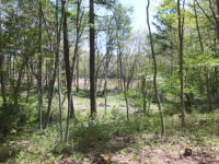 �y�n�̗l�q-�����̌i�F-