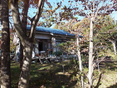 �~�n�ƕʑ��̗l�q