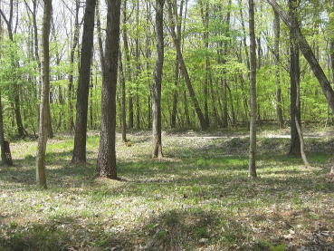 �y�n��蓹�H�������l�q�B