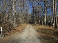 ���H�̗l�q