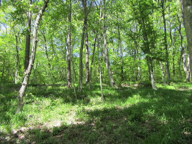 �Ǖ�300�ؓy�n