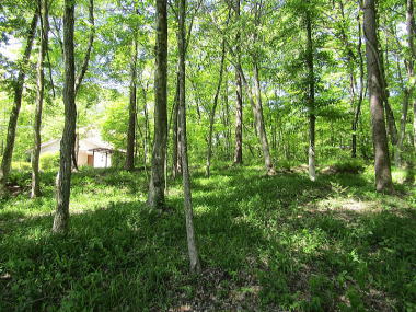 �Ǖ�300�ؓy�n